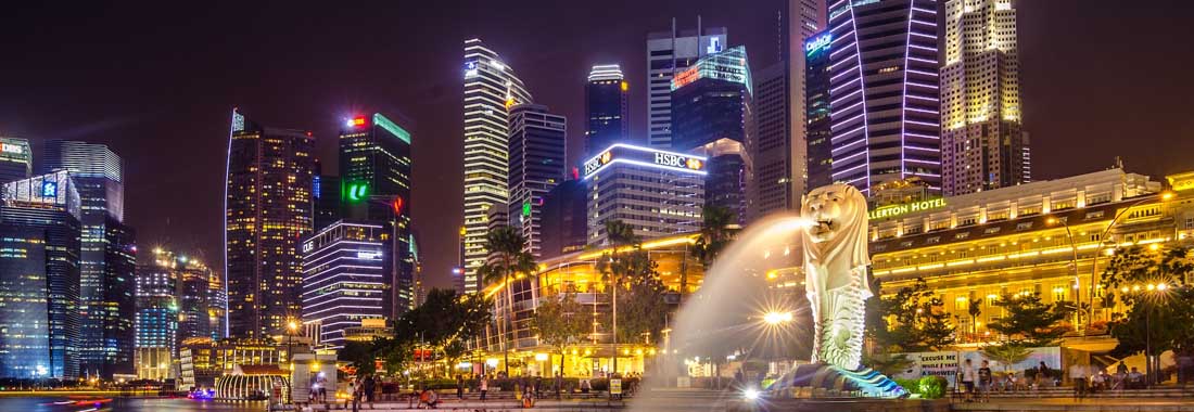 Singapore-Tour.jpg